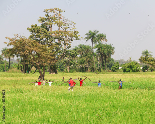 Canvastavla Champs de Guinée Bissau