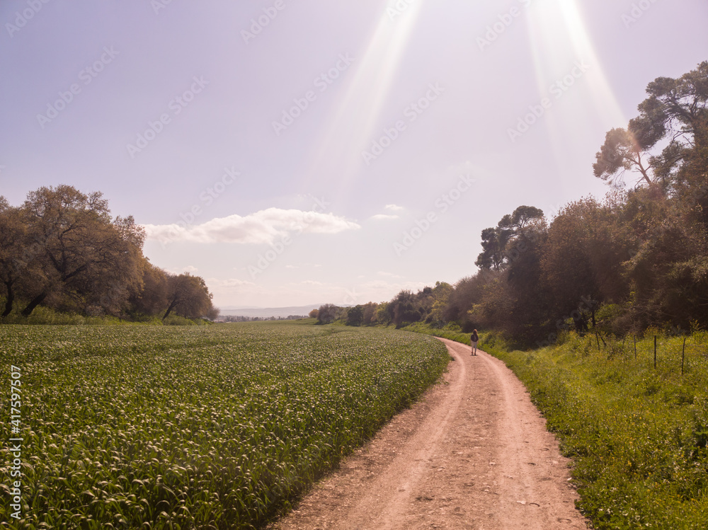 Field path walking in the sunshine