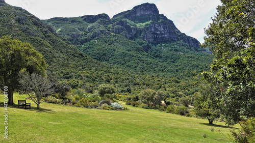 Green lawn on the hillside in the park. There is a bench under a shady tree. There are picturesque tropical plants in the flowerbed. Wooded mountain range against the sky. Cape Town.