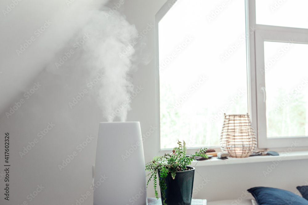 Humidifier adds water to the air by boiling water into steam. Reduces