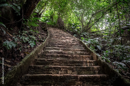 View of the archaeological site of Palenque, Mexico photo