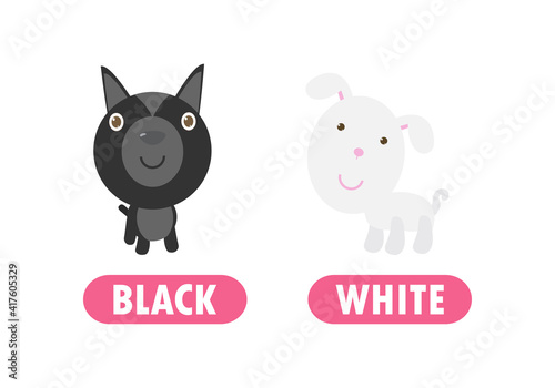 Opposite black and white, Words antonym for children with cartoon characters cute little dog, funny animal Flat vector illustration isolated on white background