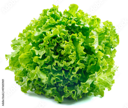 Lettuce Salad Isolated On White. High quality photo.