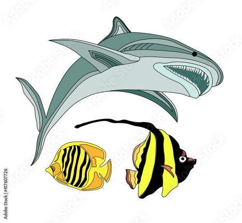 FISH OF THE ATLANTIC OCEAN. VECTOR ILLUSTRATION UNDERWATER WORLD. SHARK, STRIPED LITTLE FISH. aquarium