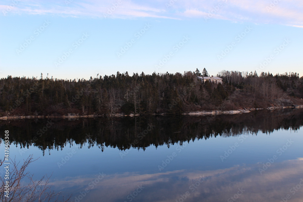 Fototapeta premium reflection of trees in water