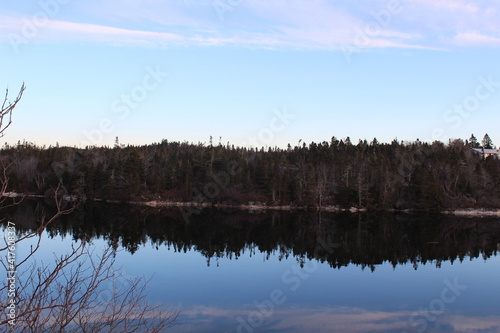 reflection of trees in water