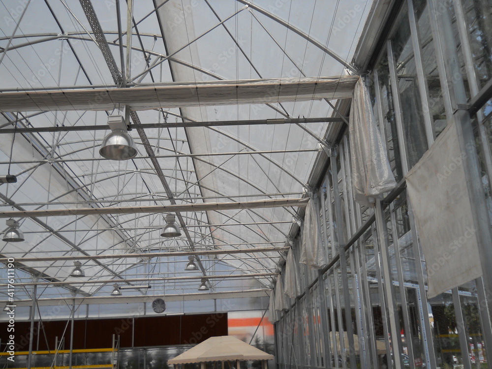 greenhouse, glass greenhouse