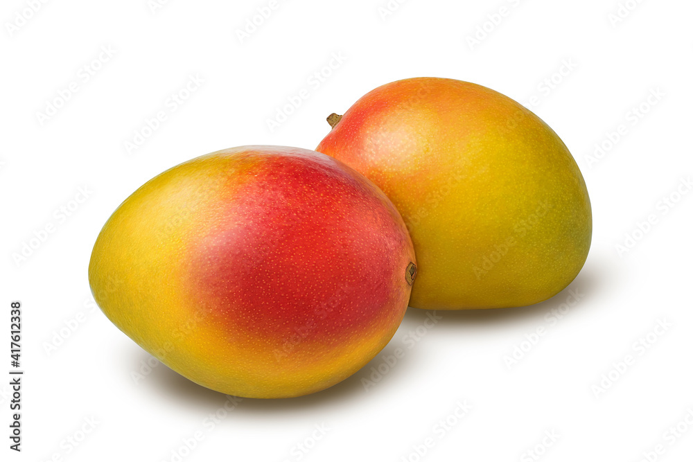 Two mango fruit isolated on white background with clipping path. Two mango fruit isolated on white background with clipping path.