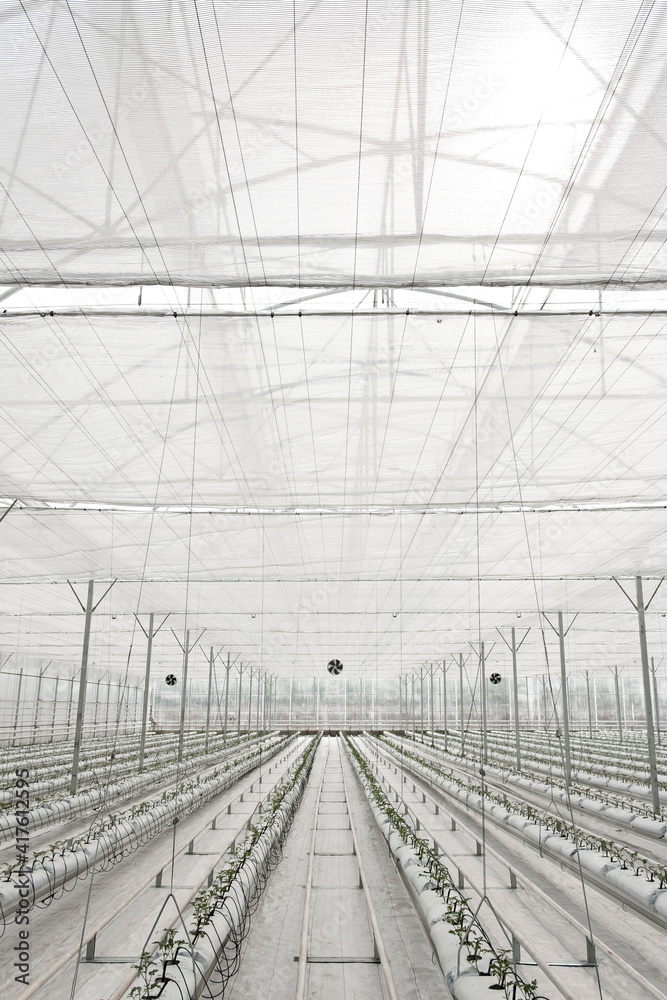 greenhouse, glass greenhouse