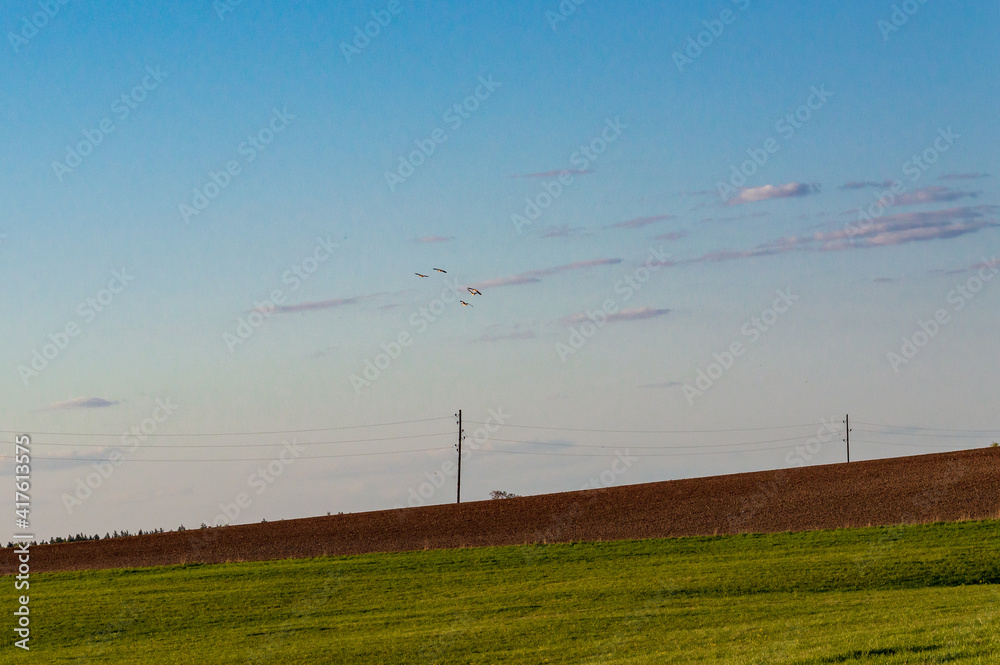 Fototapeta premium Field with a sloping horizon in the countryside. Clouds in the sky.
