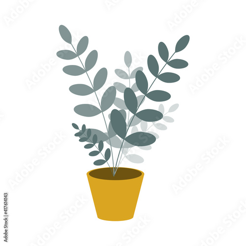 Potted indoor flower, zamioculcas on a white background. Vector illustration in a flat style