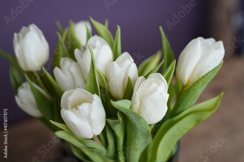 bunch of white tulips