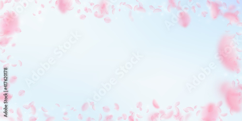 Sakura petals falling down. Romantic pink flowers frame. Flying petals on blue sky wide background.
