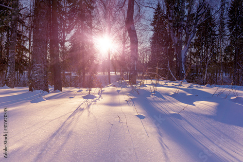 Northern landscape spring evening, the sun casting long shadows on the snow from the trees © Konstantin