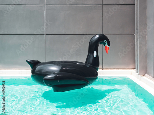 Fototapeta Naklejka Na Ścianę i Meble -  Black inflatable swan bird swim ring pool.