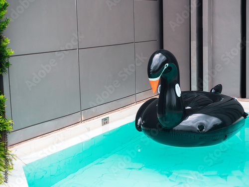 Black inflatable swan bird swim ring pool.