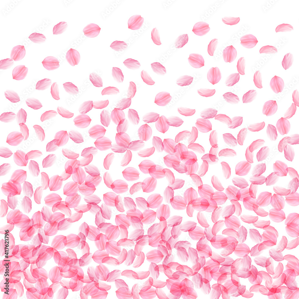 Sakura petals falling down. Romantic pink silky medium flowers. Thick flying cherry petals. Bottom g Sakura petals falling down. Romantic pink silky medium flowers. Thick flying cherry petals. Bottom g
