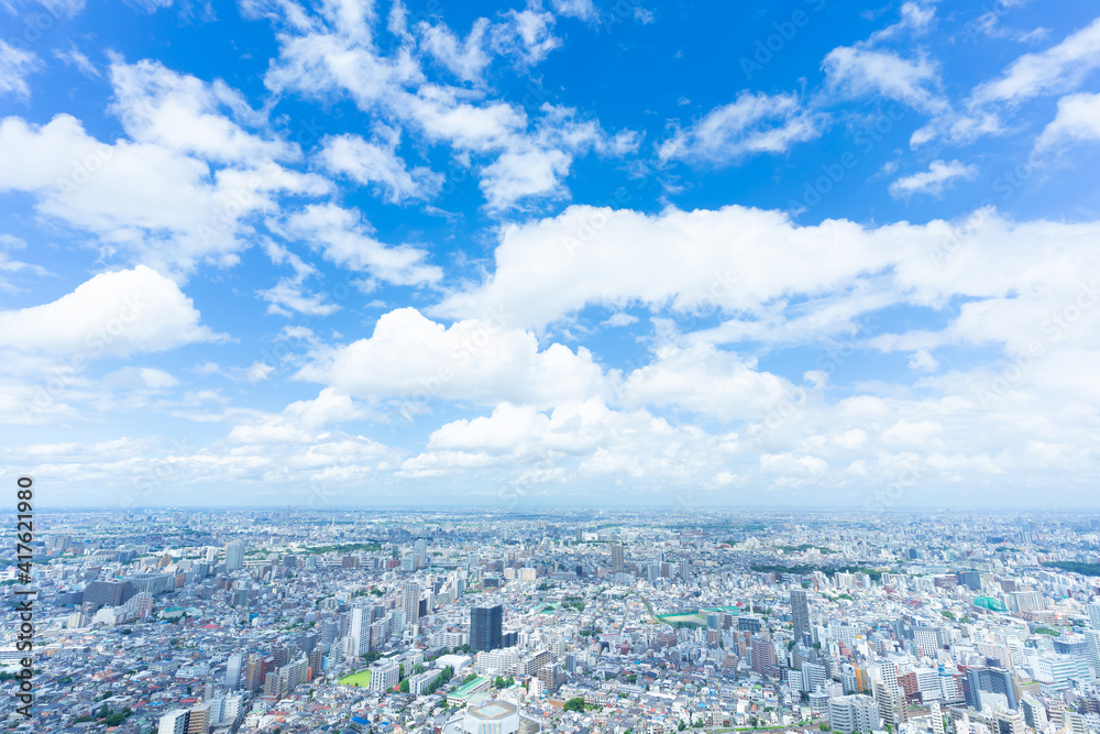 Fototapeta premium 東京 夏 地平線に流れる入道雲