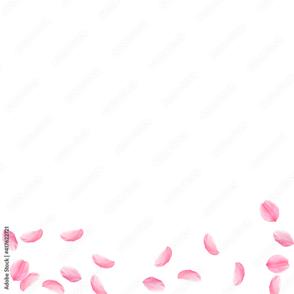 Sakura petals falling down. Romantic pink silky medium flowers. Sparse flying cherry petals. Square Sakura petals falling down. Romantic pink silky medium flowers. Sparse flying cherry petals. Square