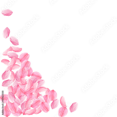 Sakura petals falling down. Romantic pink bright big flowers. Thick flying cherry petals. Bottom lef