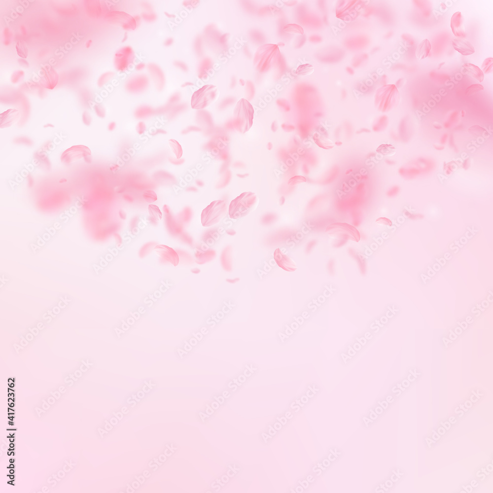 Sakura petals falling down. Romantic pink flowers semicircle. Flying petals on pink square backgroun