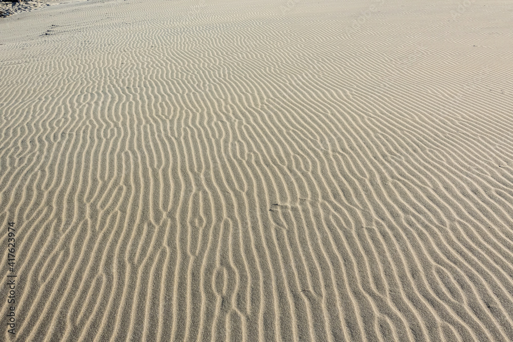 The texture of sand on a dune in the desert The texture of sand on a dune in the desert