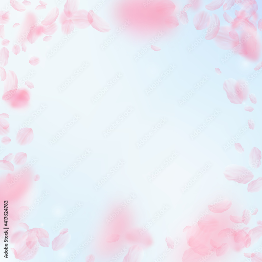 Fototapeta premium Sakura petals falling down. Romantic pink flowers vignette. Flying petals on blue sky square backgro