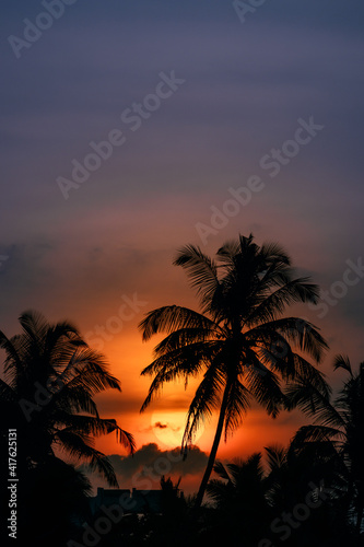 Palm Trees Silhouette on Sunset or Sunrise