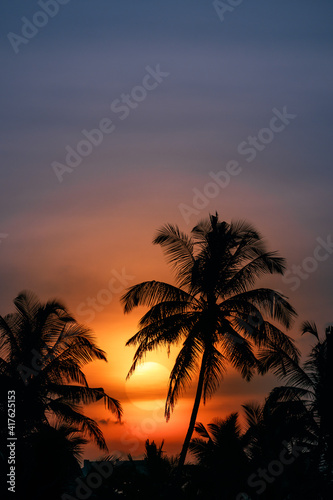 Palm Trees Silhouette on Sunset or Sunrise