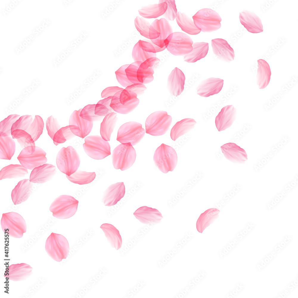 Sakura petals falling down. Romantic pink silky big flowers. Thick flying cherry petals. Left top co
