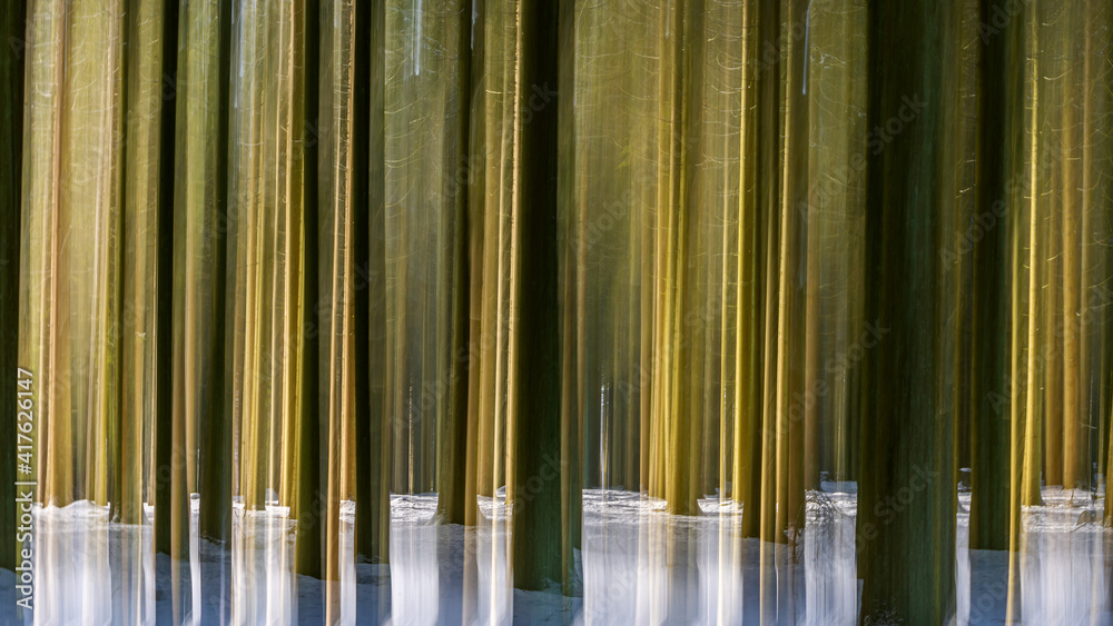 Foto Stock Abstract motion blur image of a spruce forest in the winter ...