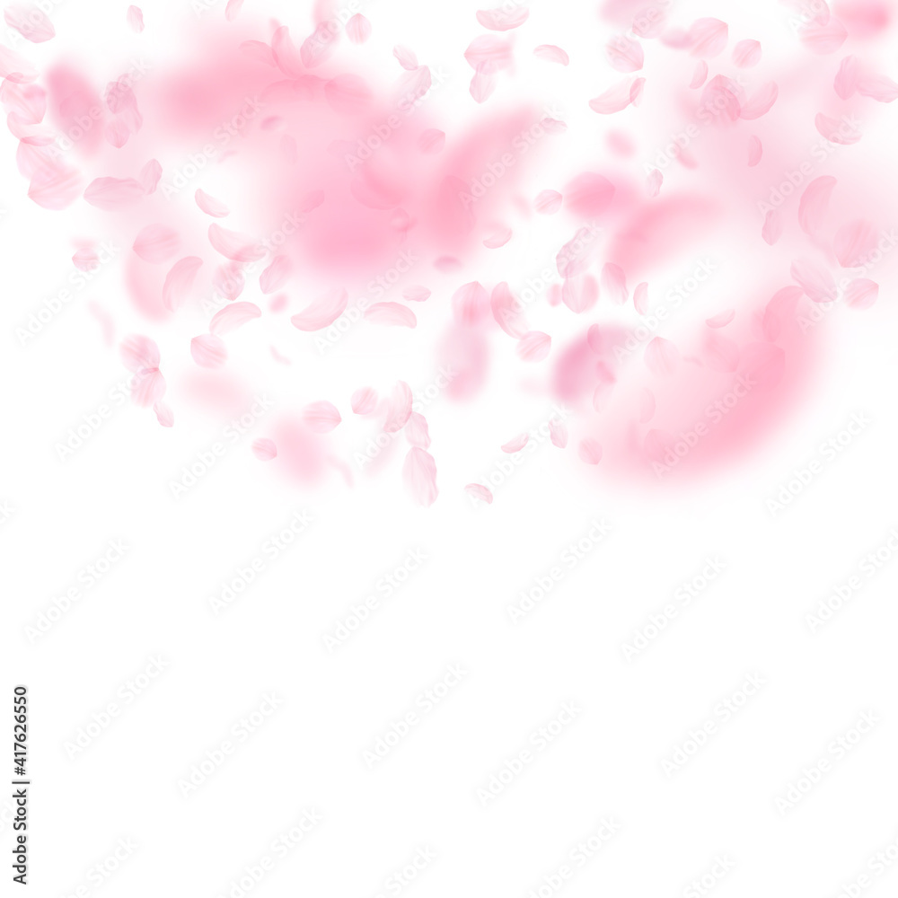 Sakura petals falling down. Romantic pink flowers semicircle. Flying petals on white square backgrou