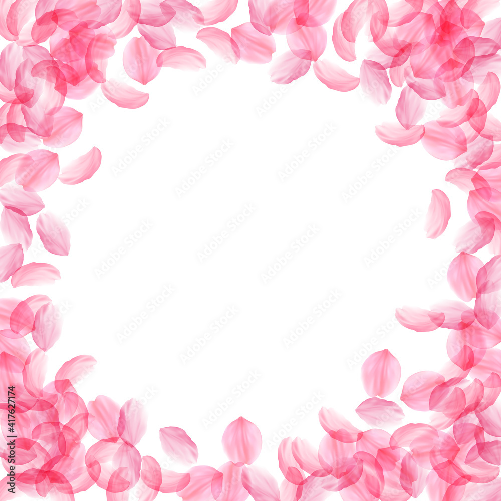 Sakura petals falling down. Romantic pink silky big flowers. Thick flying cherry petals. Circle fram