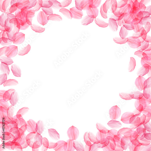 Sakura petals falling down. Romantic pink silky big flowers. Thick flying cherry petals. Circle fram