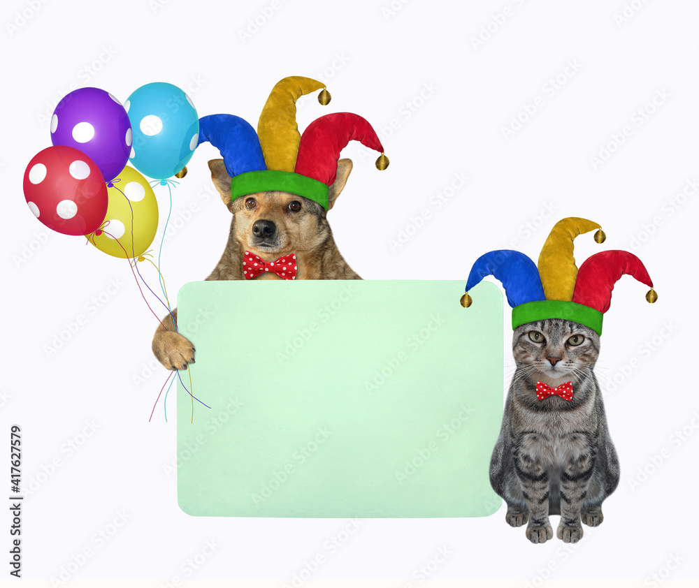 Naklejka premium Pets clowns in jester hats is holding a green blank poster. April fool's day. White background. Isolated.