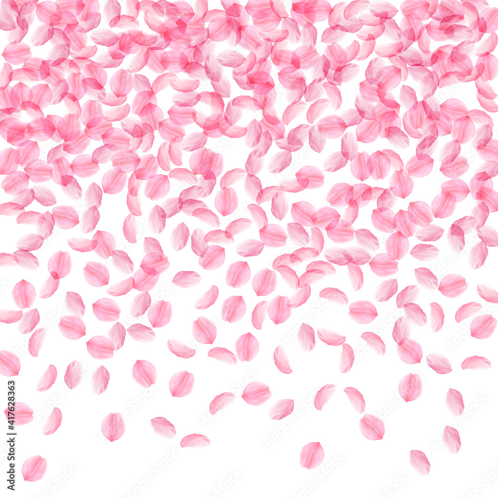 Sakura petals falling down. Romantic pink silky medium flowers. Thick flying cherry petals. Top grad