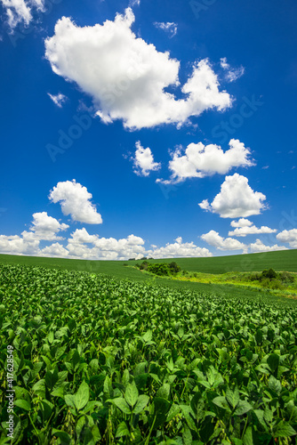 soy plantation  agriculture and development