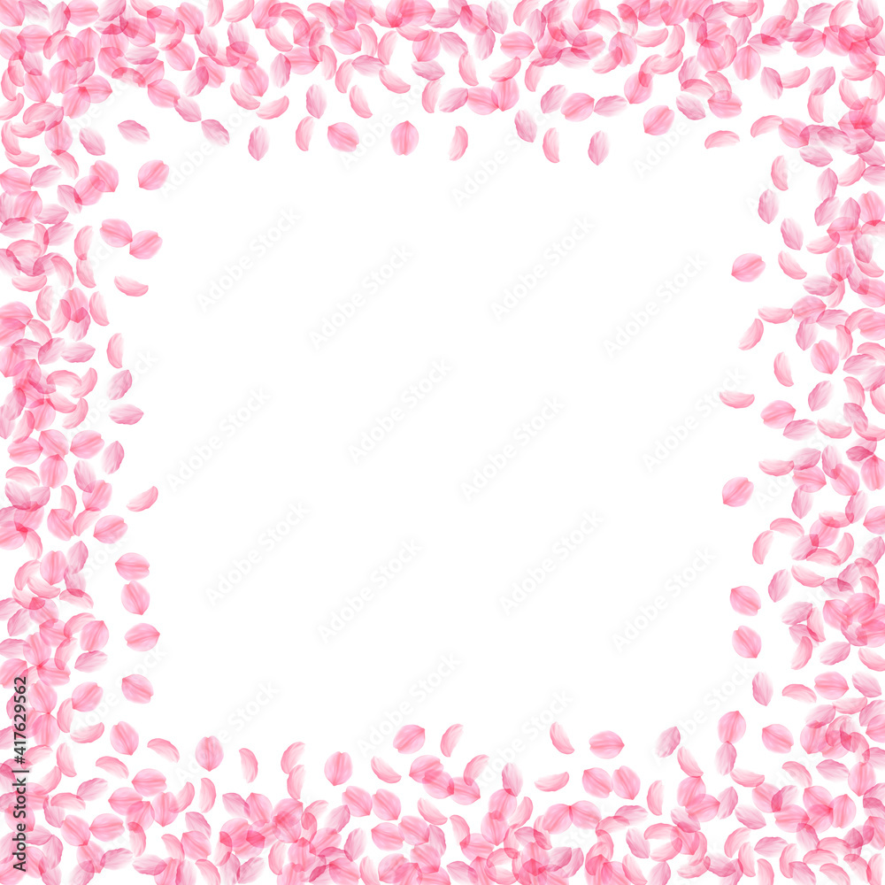 Sakura petals falling down. Romantic pink silky small flowers. Thick flying cherry petals. Square bo