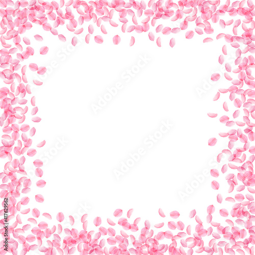 Sakura petals falling down. Romantic pink silky small flowers. Thick flying cherry petals. Square bo