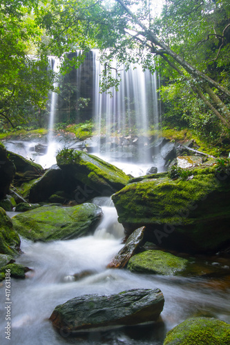 Fototapeta Naklejka Na Ścianę i Meble -  waterfall in the forest