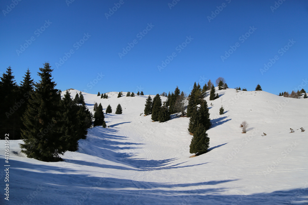 Fototapeta premium View of the landscape near the Col Dei S'Cios in Friuli Venezia Giulia, Italy