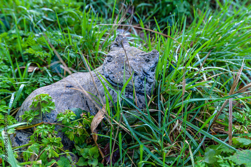 A small stone cat in the grass