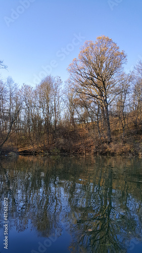 forest reflected in the lake in autumn season. wild landscape with leafless trees by the calm water