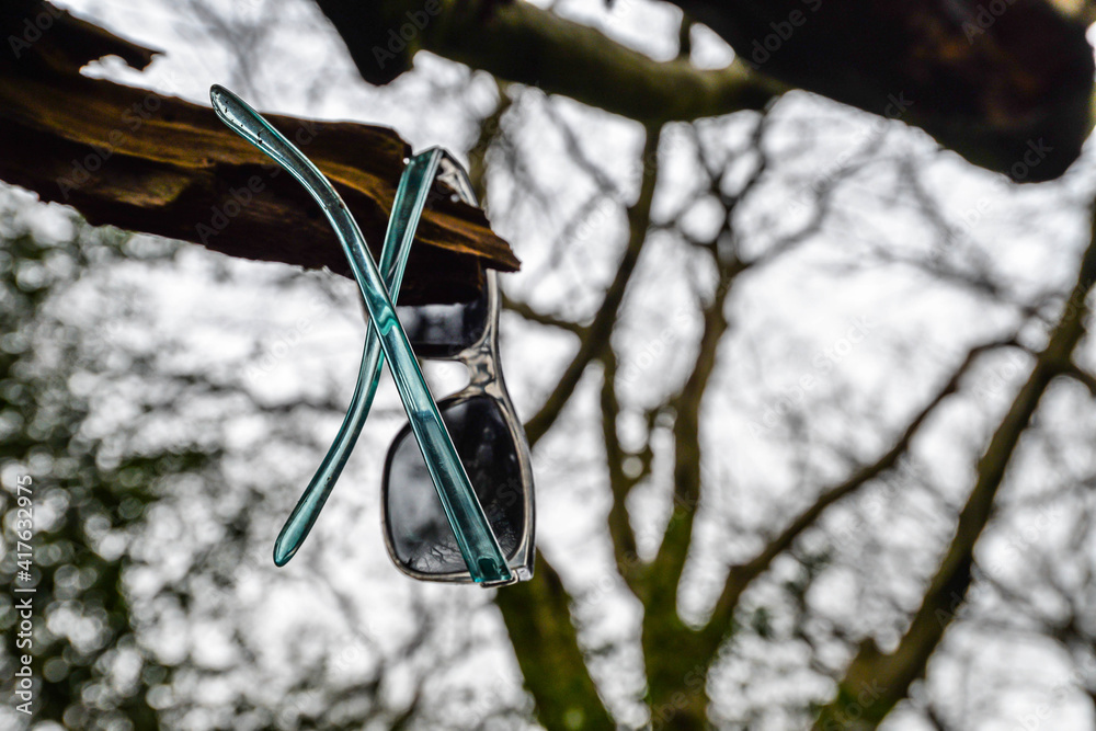 Sunglasses in the tree