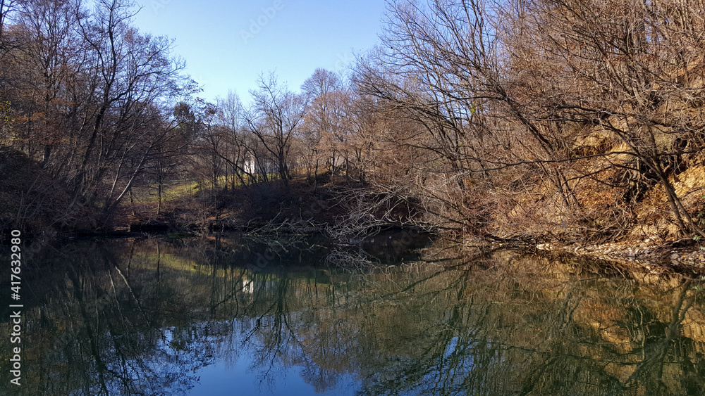 forest reflected in the lake in autumn season. wild landscape with leafless trees by the calm water forest reflected in the lake in autumn season. wild landscape with leafless trees by the calm water