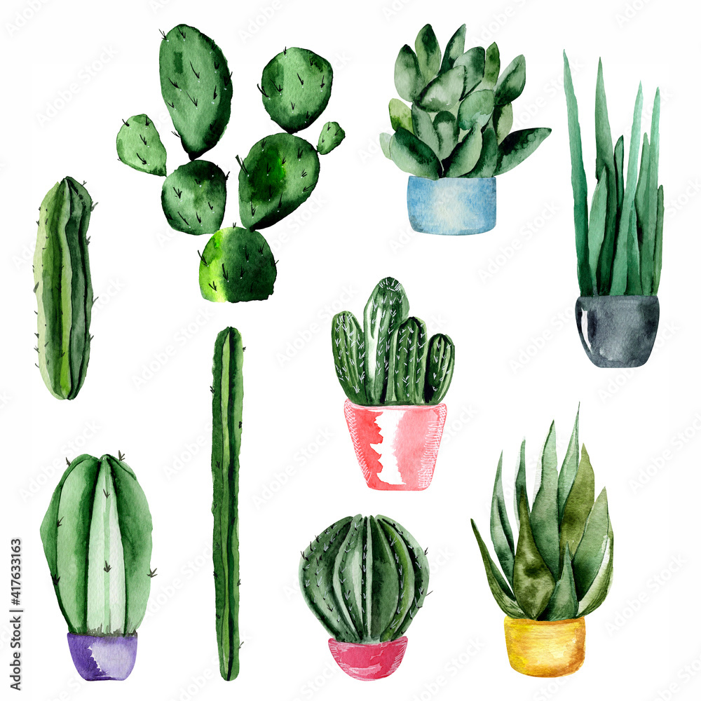 Fototapeta premium Cactus and succulents watercolor set. Template for decorating designs and illustrations.