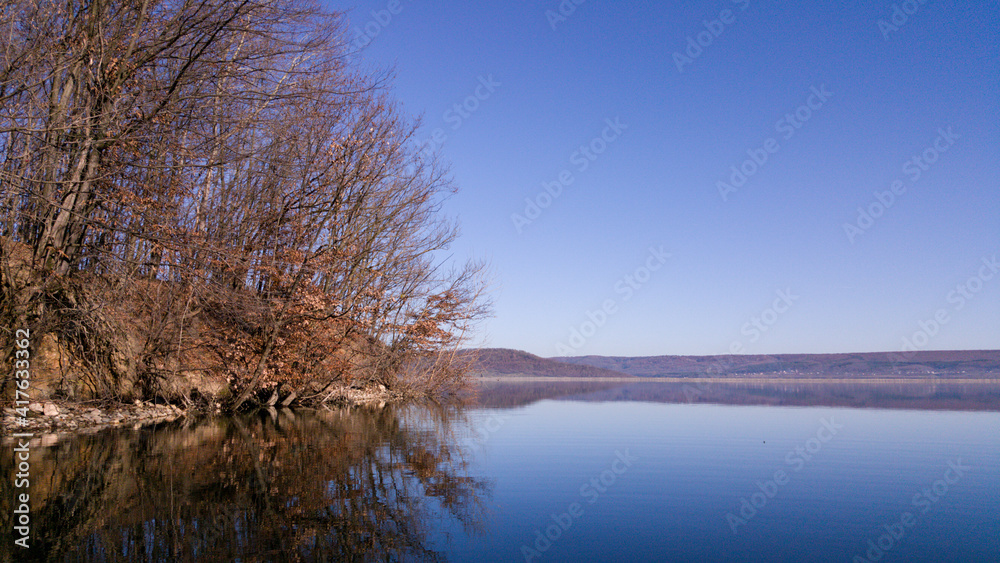 forest reflected in the lake in autumn season. wild landscape with leafless trees by the calm water forest reflected in the lake in autumn season. wild landscape with leafless trees by the calm water