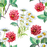 Watercolor reg dahlia with chamomiles. Flowers on white background. Floral seamless pattern.