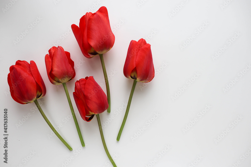 mockup greeting card. beautiful bouquet of tulips and space for text. envelope and white blank mockup greeting card. beautiful bouquet of tulips and space for text. envelope and white blank