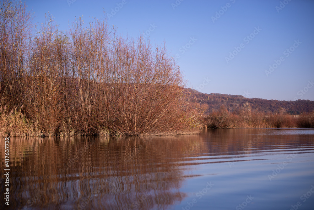 forest reflected in the lake in autumn season. wild landscape with leafless trees by the calm water